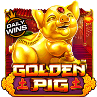 Vs25goldpig T